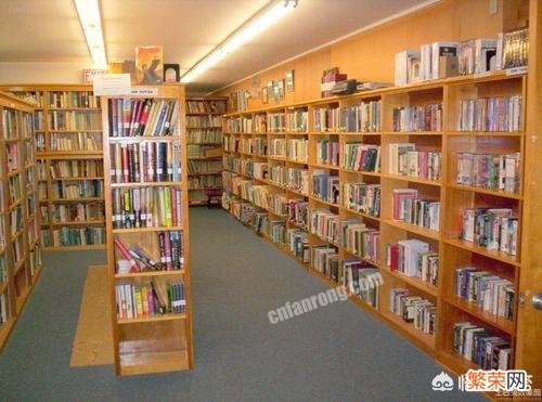 中小学图书馆放哪一类书籍比较好？