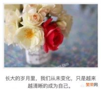 在一段感情中该如何做到“释怀”？