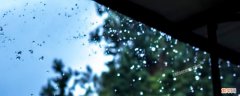 冬天开窗湿气大还是关窗湿气大 下雨天开窗湿气重还是关窗湿气重