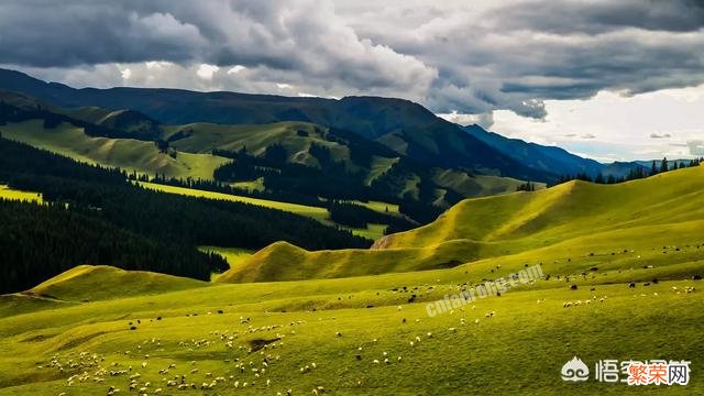 半个月时间,想去新疆旅游,但新疆那么大,景区景点那么多,怎么游才科学合理呢？