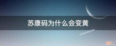 苏康码什么情况会变黄 苏康码为什么会变黄