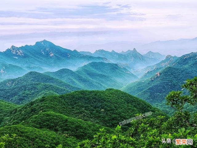 各位中老年摄影爱好者,你们爱拍风景花鸟么？大家有好看的照片么？