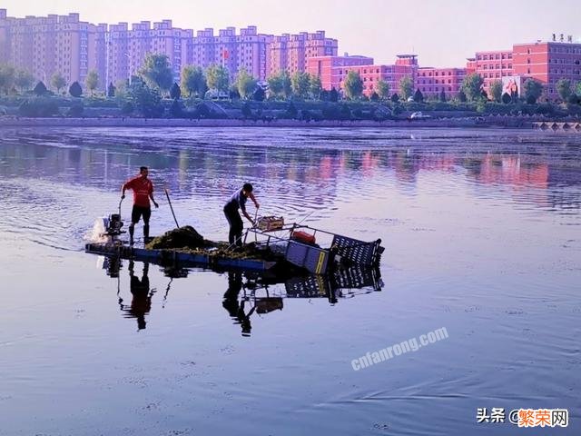 各位中老年摄影爱好者,你们爱拍风景花鸟么？大家有好看的照片么？