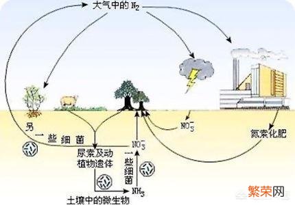 为什么地球上人越来越多,那么地球的质量为什么不增加呢？