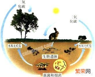 为什么地球上人越来越多,那么地球的质量为什么不增加呢？