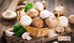 平菇各种菇类家常菜详细做法视频 平菇各种菇类家常菜详细做法