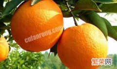 秭归夏橙什么时候成熟 秭归夏橙每年的成熟时间