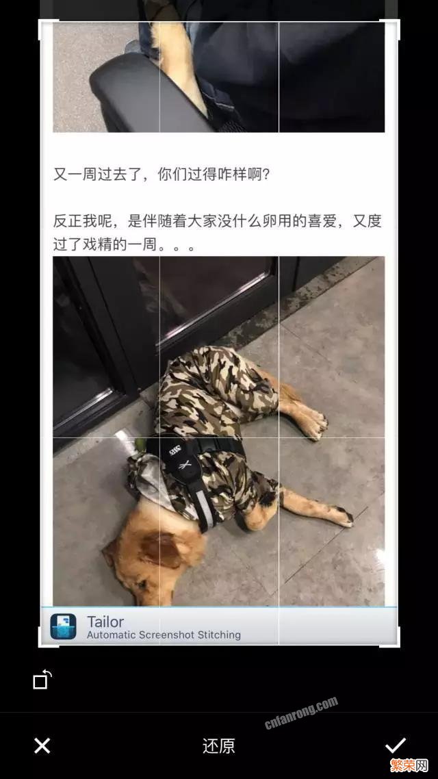 苹果有什么好的截长图软件？