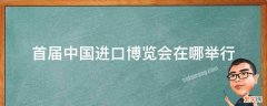 首届中国进口博览会在哪举行 中国第一届进口博览会在哪里召开