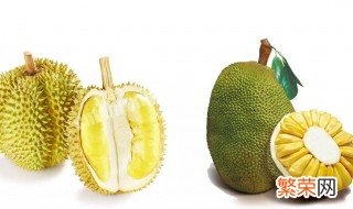 切开的菠萝蜜没熟怎么办还会引来蚂蚁 切开后的菠萝蜜没熟怎么办