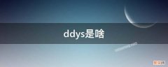 ddys是啥游戏 ddys是啥