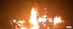 木材引起的火灾属于哪类火灾 木材引起的火灾属于哪类