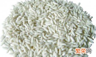 糯米是什么米是江米吗 糯米到底是什么米是江米吗