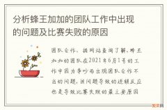 分析蜂王加加的团队工作中出现的问题及比赛失败的原因