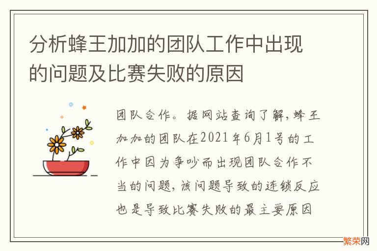 分析蜂王加加的团队工作中出现的问题及比赛失败的原因