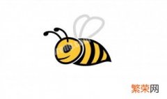 蜂毒是酸性还是碱性 蜂毒属于什么性质的毒性