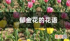 郁金花的花语是什么 郁金花的花语介绍