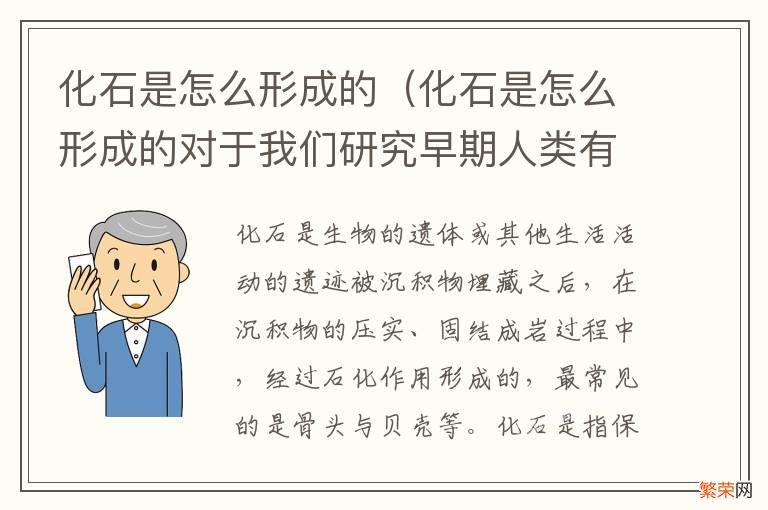 化石是怎么形成的对于我们研究早期人类有什么作用 化石是怎么形成的