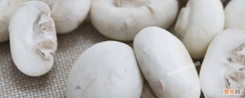 炒小白蘑菇的家常做法 小白蘑菇怎么炒着好吃