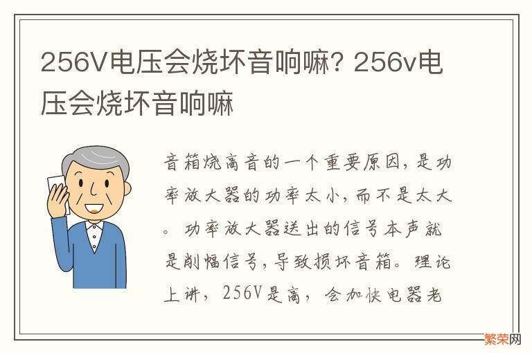 256V电压会烧坏音响嘛? 256v电压会烧坏音响嘛