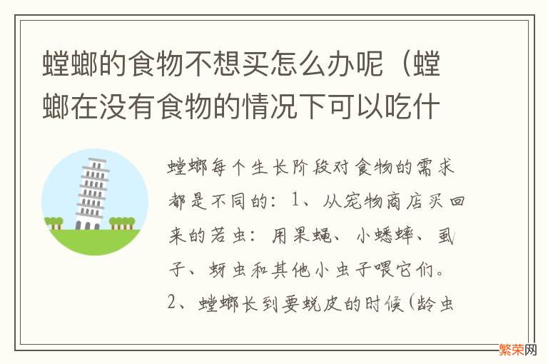 螳螂在没有食物的情况下可以吃什么 螳螂的食物不想买怎么办呢