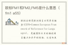 fm1 a55 欧标FM1和FM2,FM5是什么意思