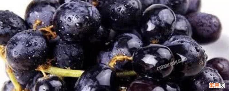 黑色的水果有什么 黑色的水果有什么图