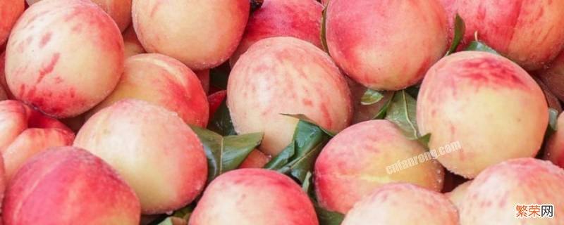 桃子是什么 桃子是什么意思网络用语