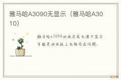 雅马哈A3010 雅马哈A3090无显示