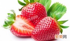 草莓夏季怎么养护 草莓夏季的养护方法