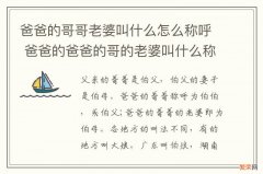 爸爸的哥哥老婆叫什么怎么称呼 爸爸的爸爸的哥的老婆叫什么称呼