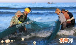 水库地笼捕鱼技巧是什么 水库地笼捕鱼技巧是啥