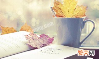 无缝衔接恋爱是什么意思 无缝衔接恋爱解释