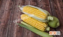 玉米粒是种子吗 玉米粒是不是种子