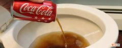 可乐加什么去除马桶污垢 可口可乐能去除马桶污垢吗