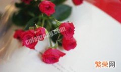 33朵玫瑰花语是什么意思 33朵玫瑰花语是什么