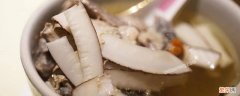 椰子螺煮多久才能煮软 椰子螺煮多久