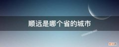 顺远是哪个省的城市 顺远是哪个省份的