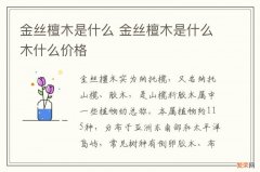 金丝檀木是什么 金丝檀木是什么木什么价格