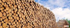 一方木材是多少 一方木材是多少公分