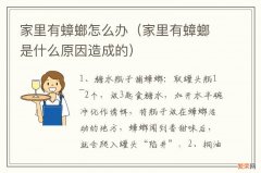 家里有蟑螂是什么原因造成的 家里有蟑螂怎么办