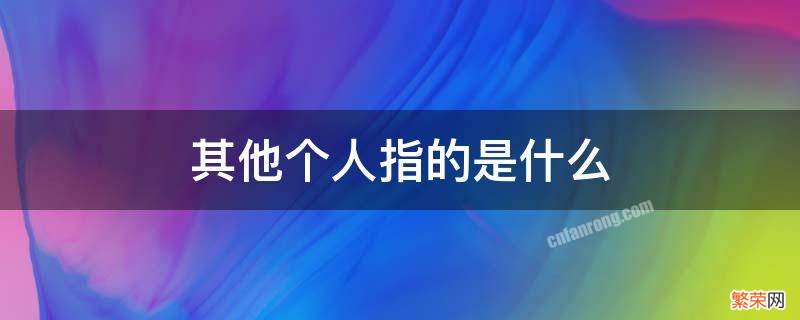 其他个人指的是什么 其他个人指的是谁