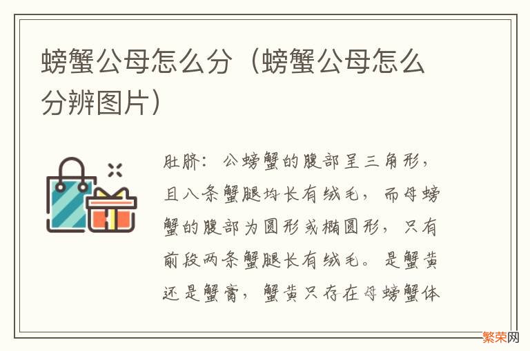 螃蟹公母怎么分辨图片 螃蟹公母怎么分