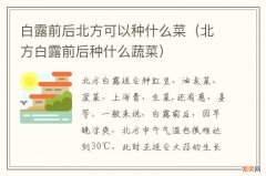 北方白露前后种什么蔬菜 白露前后北方可以种什么菜