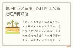 氟环唑玉米苗期可以打吗 玉米苗控旺用丙环唑