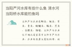 当阳严河水库有些什么鱼 清水河当阳桥水库能钓鱼吗