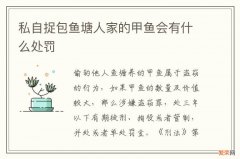 私自捉包鱼塘人家的甲鱼会有什么处罚