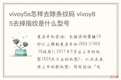 vivoy5s怎样去除条纹码 vivoy85去掉指纹是什么型号