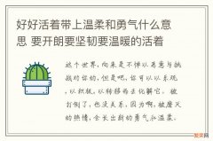 好好活着带上温柔和勇气什么意思 要开朗要坚韧要温暖的活着 那句话