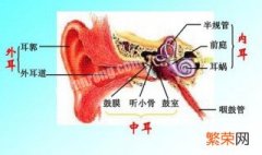 耳朵痒小妙招 生活小常识